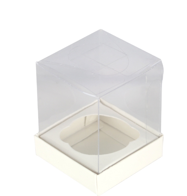 Embalak-Caixa-170-tampa-acetato-6-5x6-5x8-5-branca-kraft-10un-cód-20145-rj-rio-de-janeiro-atacado-varejo-copacabana-01