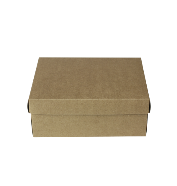 Embalak-Caixa-CT09-20_5x15_5x08cm-kraft-rj-rio-de-janeiro-atacado-varejo-copacabana-01