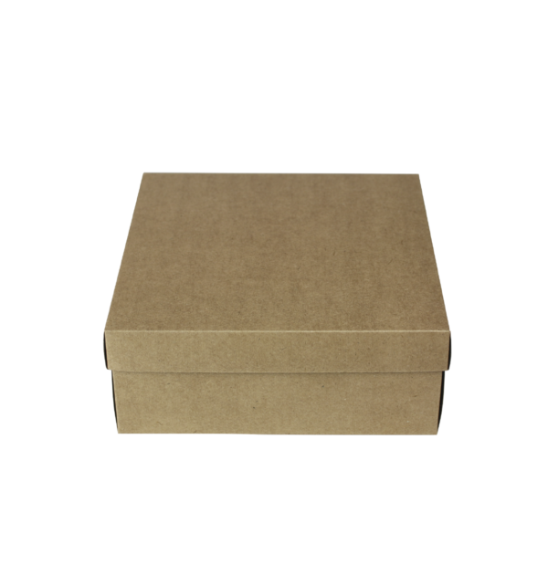 Embalak-Caixa-CT12-20_5x20_5x08cm-kraft-rj-rio-de-janeiro-atacado-varejo-copacabana-01